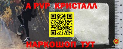 PSILOCYBIN Кунгур