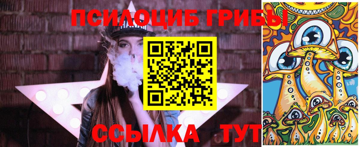 Псилоцибиновые грибы Psilocybe  где можно купить   Дивногорск  Вход с VPN 